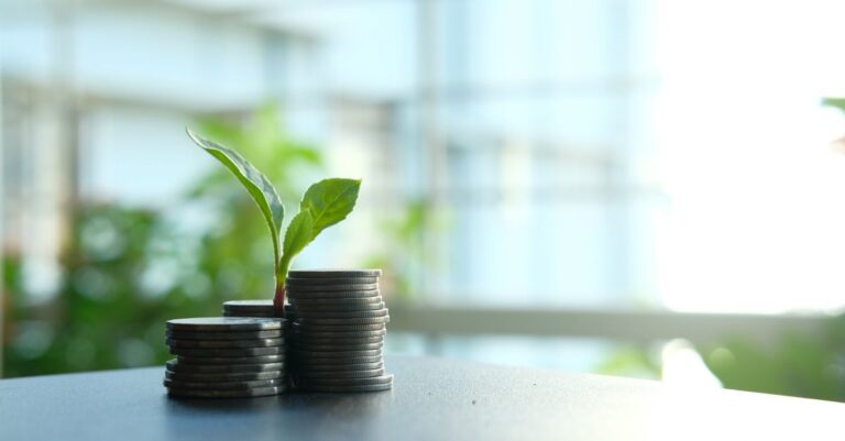 A green seedling growing out of a stack of coins on a desk